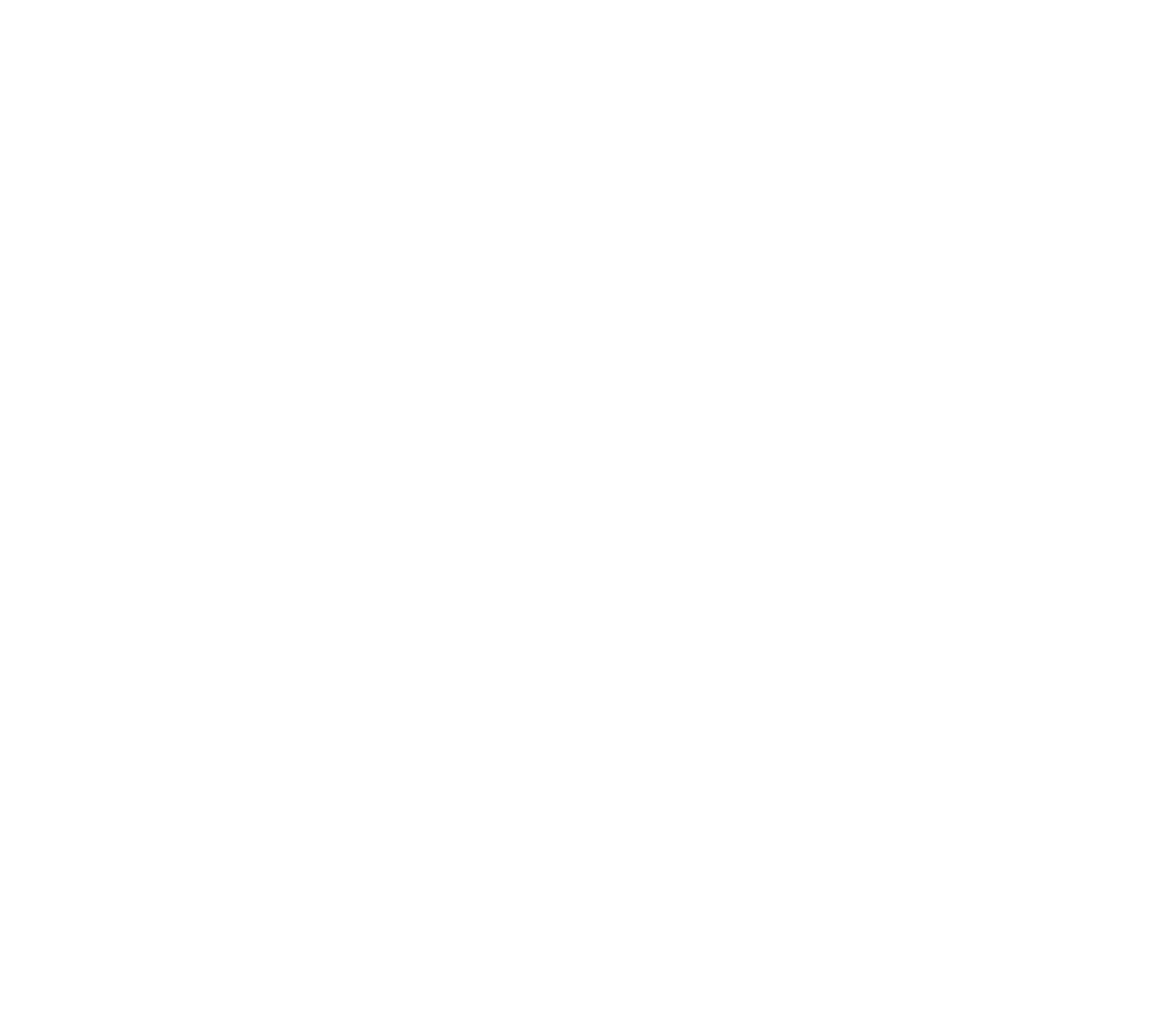 Logo white 1 scaled